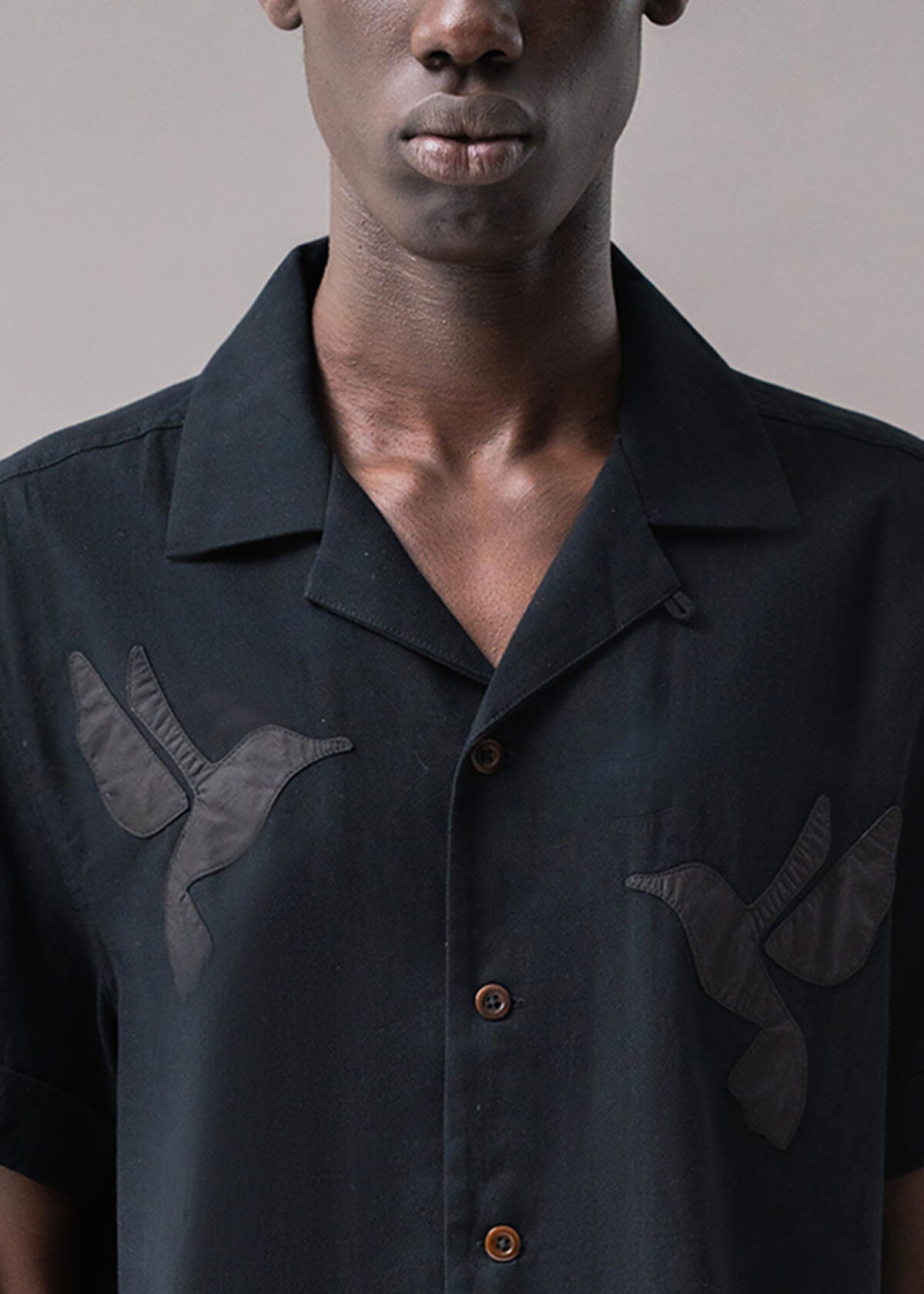 Hummingbird Black