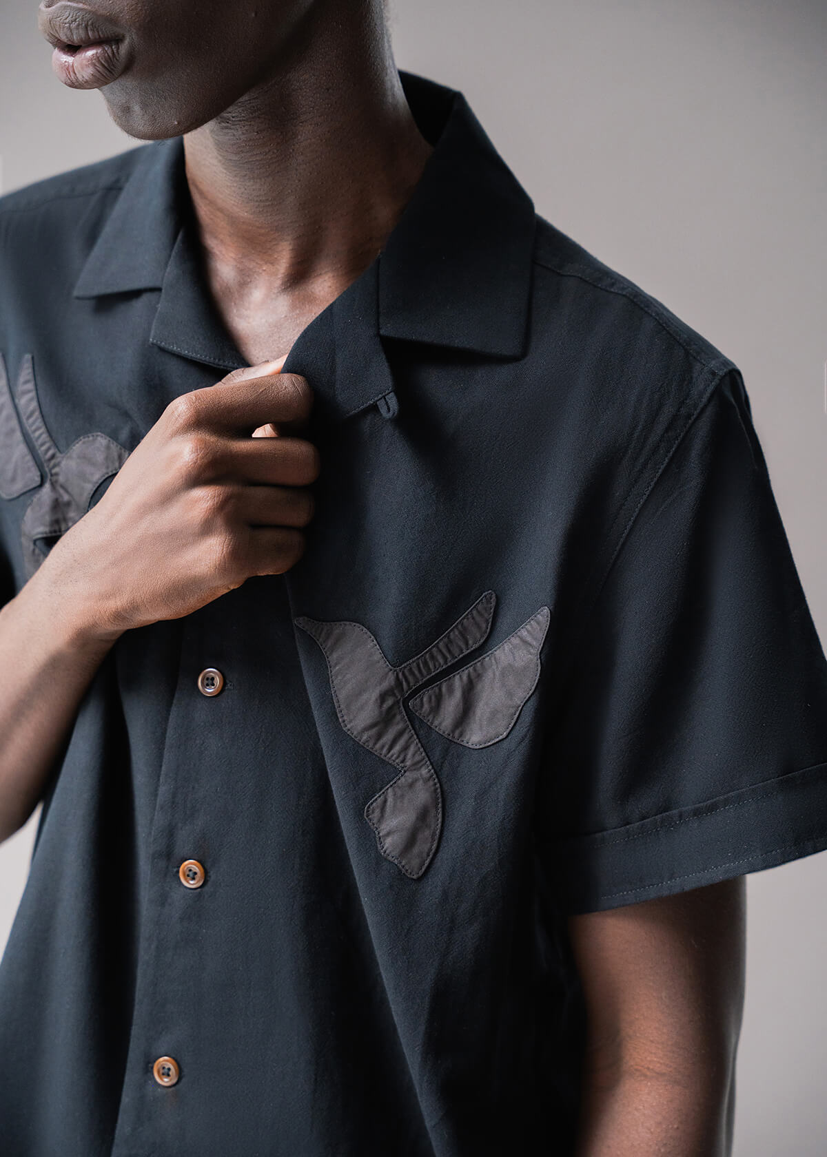 Hummingbird Black